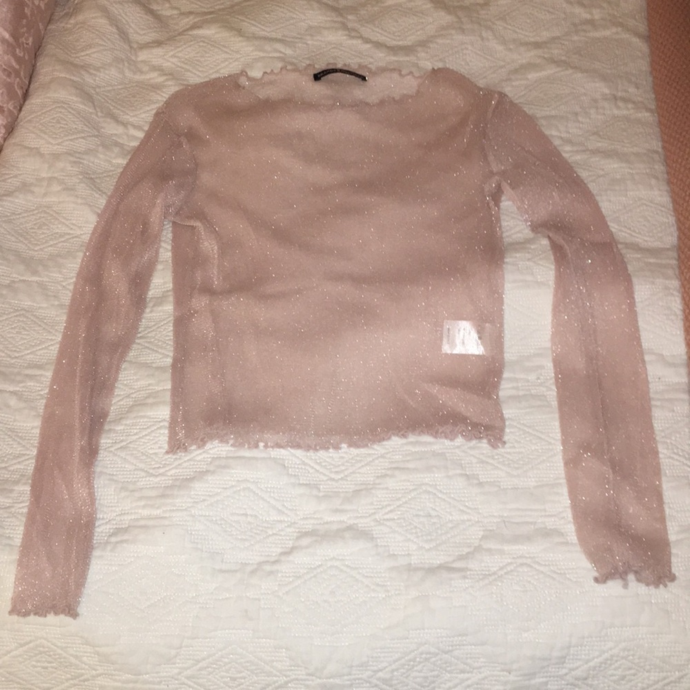 brandy Melville sparkly mesh long sleeve top!✨
